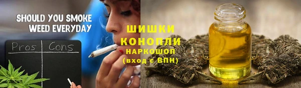 дмт Абаза