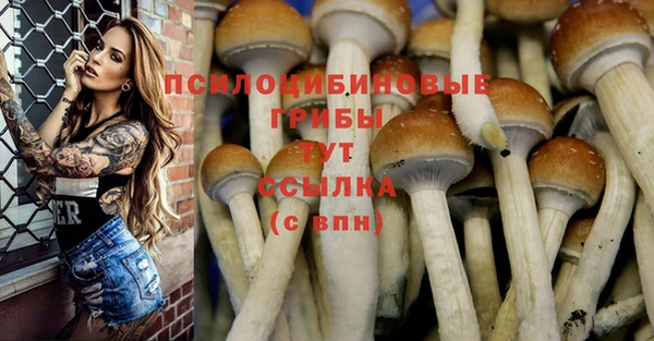 apvp Абинск
