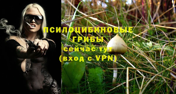 дмт Абаза
