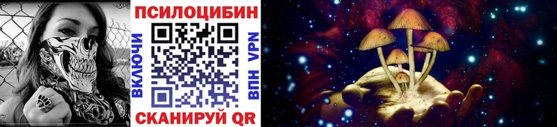 купить закладку  Новосибирск  МЕГА ONION  Галлюциногенные грибы MAGIC MUSHROOMS 